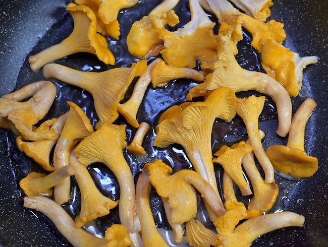 Seasonal chanterelle menu