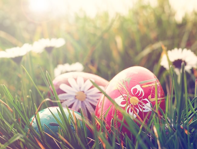 Enjoy a Festive Easter Sunday at Sheraton Essen Hotel!
